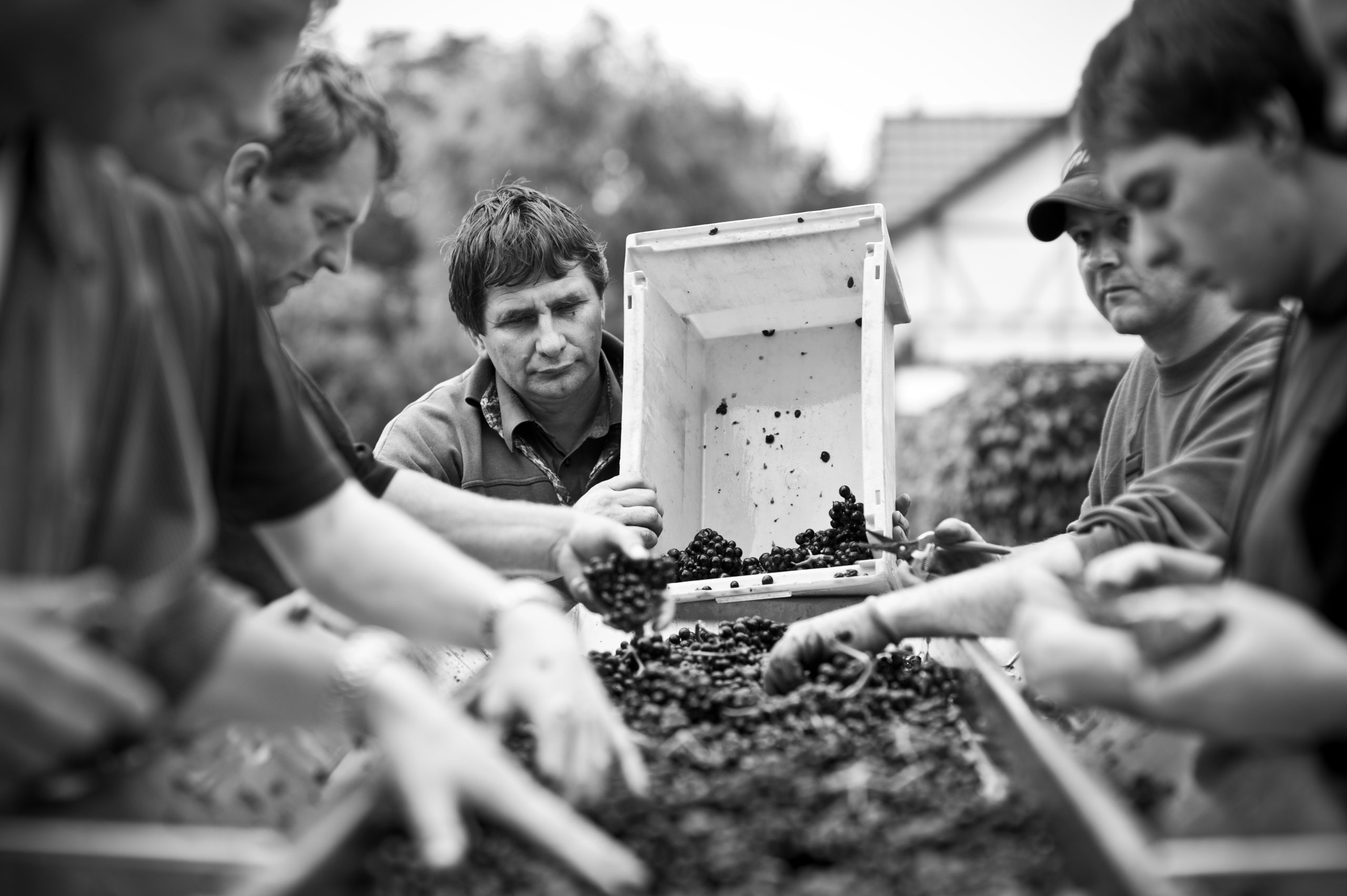 007 weingut sonnenberg urlaub marc linden madleen linden
